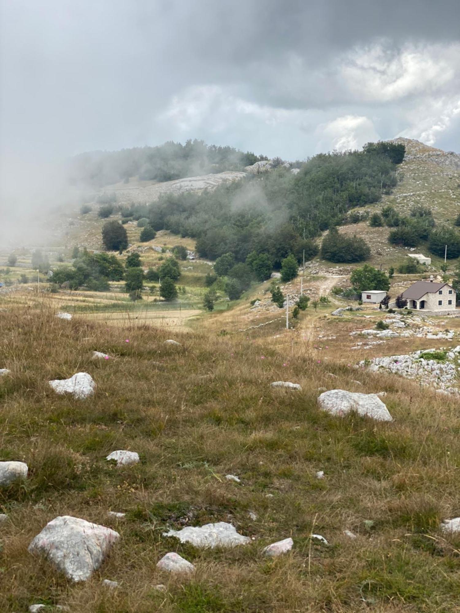 Vila Albero Casa Cetinje Exteriér fotografie