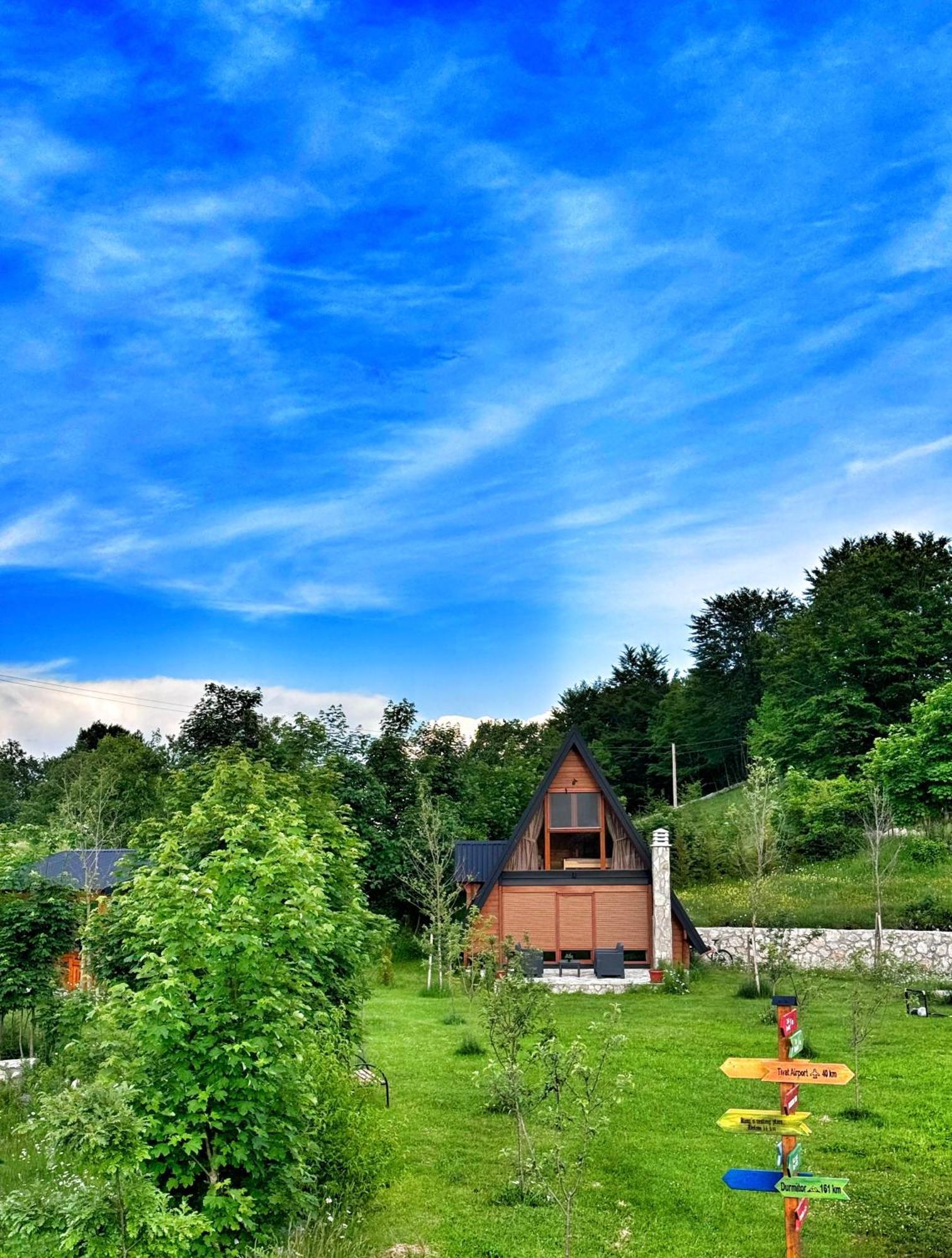 Vila Albero Casa Cetinje Exteriér fotografie