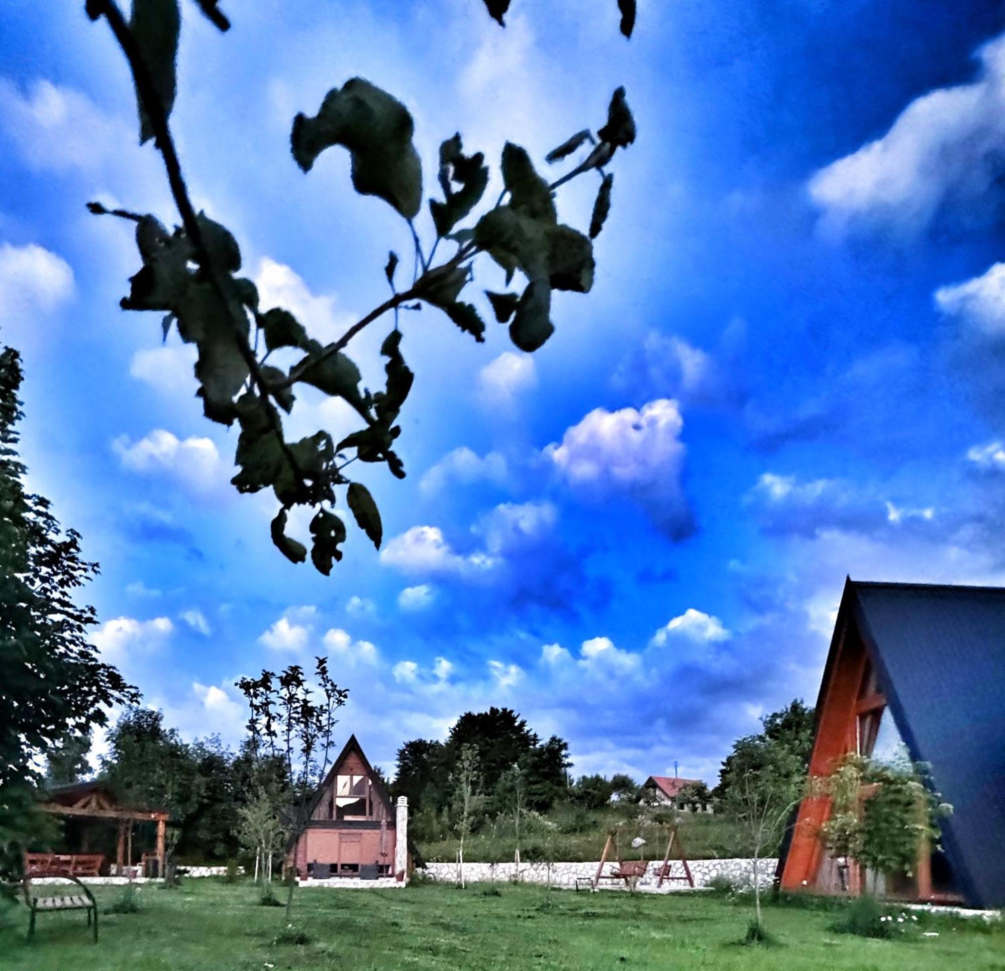 Vila Albero Casa Cetinje Exteriér fotografie