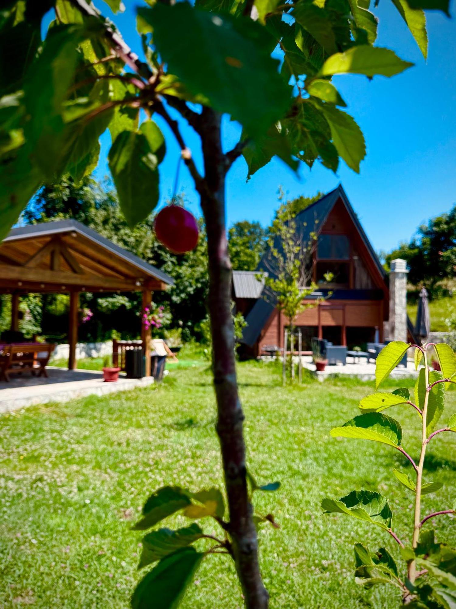 Vila Albero Casa Cetinje Exteriér fotografie
